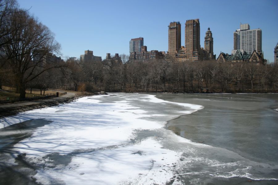 Central Park