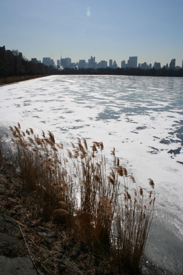 Central Park