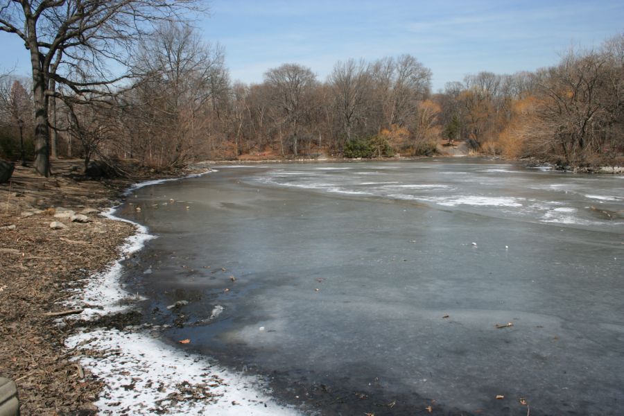 Central Park