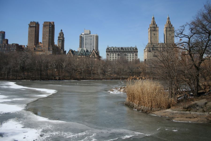Central Park