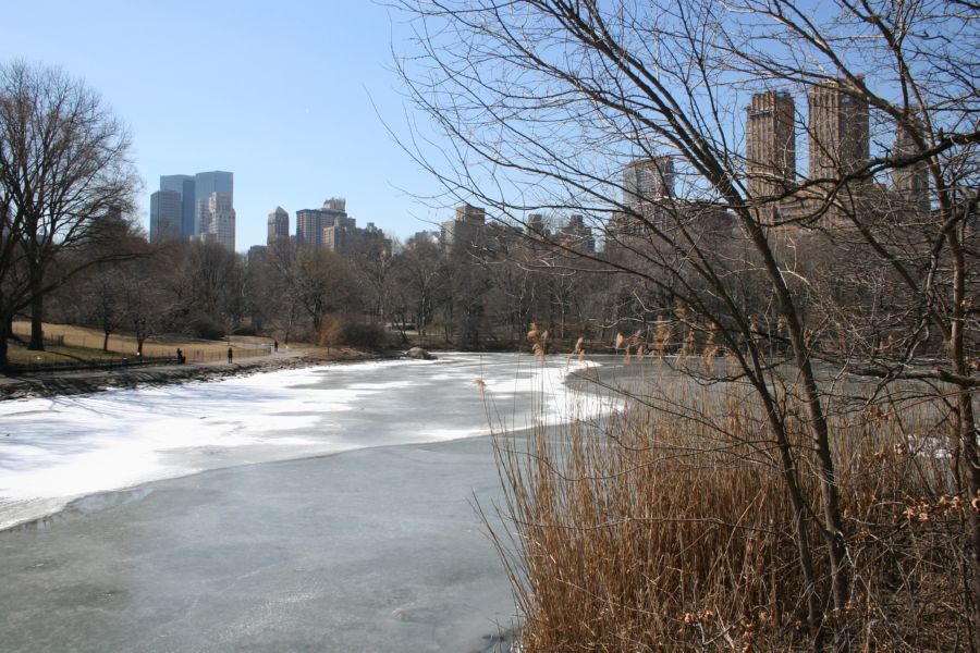 Central Park