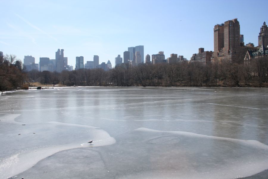 Central Park