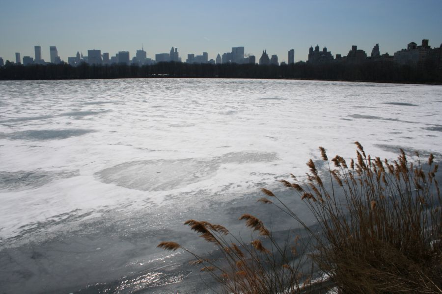 Central Park