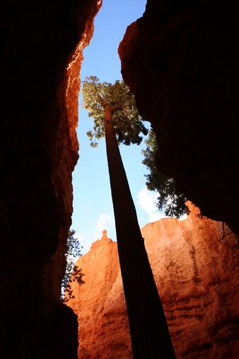 Bryce Canyon National Park