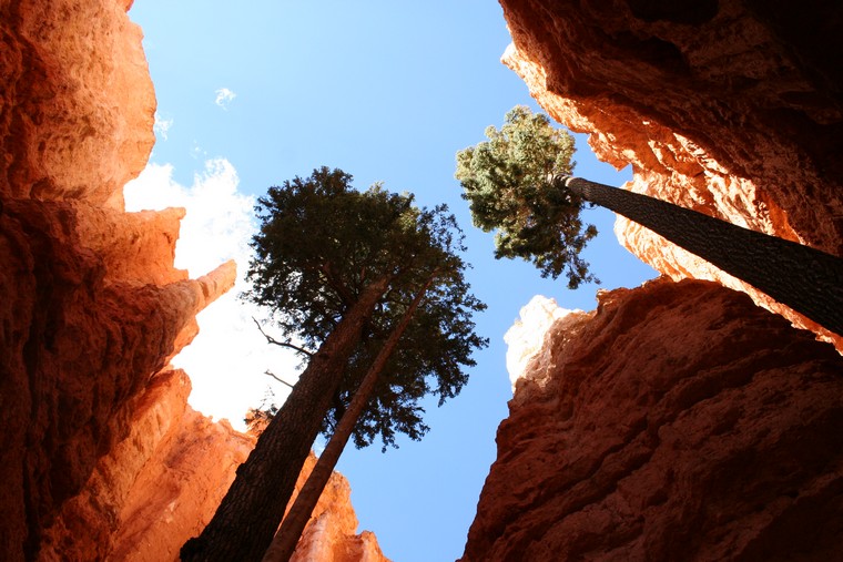 Bryce Canyon National Park