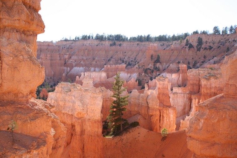 Bryce Canyon National Park