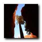 Bryce Canyon National Park