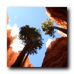 Bryce Canyon National Park