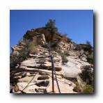 Zion National Park